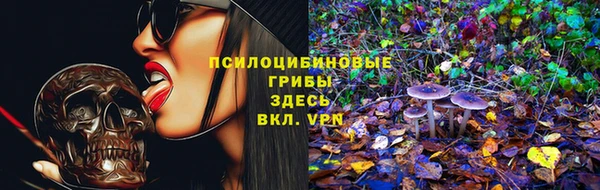твердый Алексин