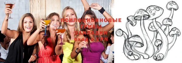 твердый Алексин
