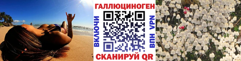 купить наркотики цена  Собинка  Псилоцибиновые грибы Psilocybine cubensis 
